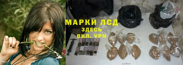 spice Беломорск