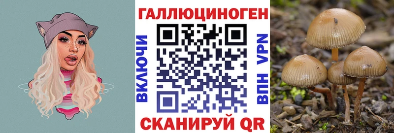Галлюциногенные грибы Magic Shrooms Гулькевичи